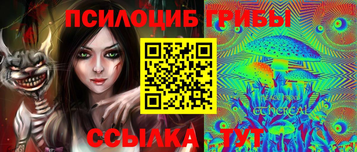 Псилоцибиновые грибы мицелий Баксан